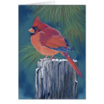 Cardinal