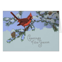 Cardinal