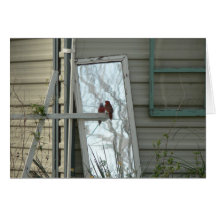 Cardinal.