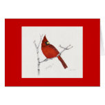 cardinal