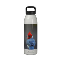 cardinal-22.jpg reusable water bottles