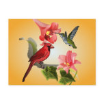 Cardinal and Hummingbird with Pink Lilies and Ivy Postcards