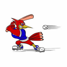 cardinal baseball