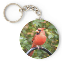 Cardinal Beauty keychains