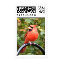 Cardinal Beauty stamps