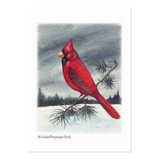 Cardinal Bird Business Card (front side)