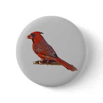Cardinal Bird buttons