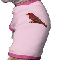Cardinal Bird pet clothing