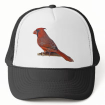 Cardinal Bird hats