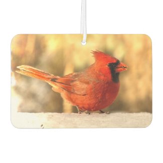 Cardinal Bird in Autumn Air Freshener