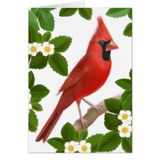 Cardinal Bird in Flowering Bush Card card