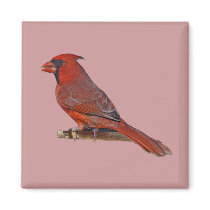Cardinal Bird magnets