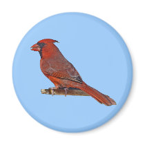 Cardinal Bird magnets