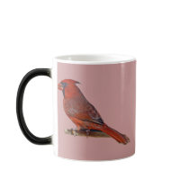 Cardinal Bird mugs