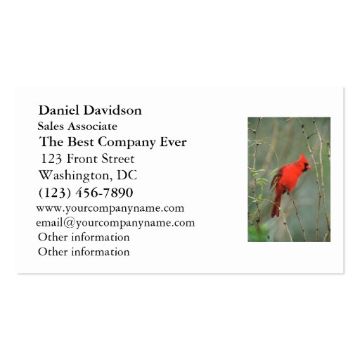 Cardinal Bird Photo Business Card (front side)
