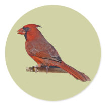 Cardinal Bird stickers
