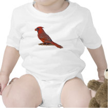 Cardinal Bird t-shirts