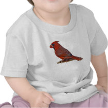 Cardinal Bird t-shirts