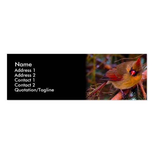 Cardinal Birds Business Card Templates (front side)