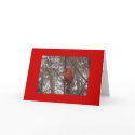 Cardinal Card