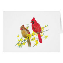 Cardinal Card