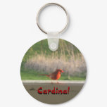 cardinal, Cardinal, Cardinal