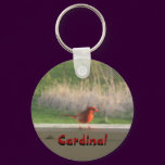 cardinal, Cardinal, Cardinal