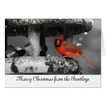 Cardinal Christmas Card