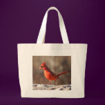 Cardinal closeup - bag