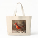 Cardinal closeup - bag