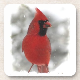 Cardinal Coasters