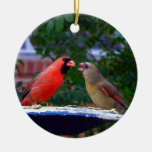 Cardinal Couple Eating Ornaments