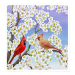 Cardinal Couple in Apple Blossoms Print