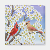 Cardinal Couple in Flowering Tree Magnet