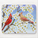 Cardinal Couple in Flowering Tree Mousepad