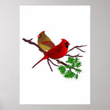 Cardinal Couple on a Branch Poster