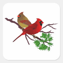 Cardinal Couple on a Branch Square Stickers