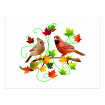 Cardinal Couple postcards