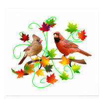 Cardinal Couple Poster posters by TLArnold Cardinal Couple Poster posters