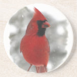 Cardinal Drink Coaster