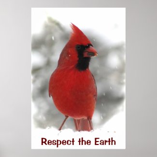 Cardinal Earth Day Poster