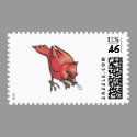 cardinal eating bug