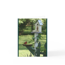 Cardinal Feeder Notecard