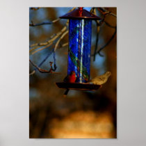 Cardinal Feeder Posters