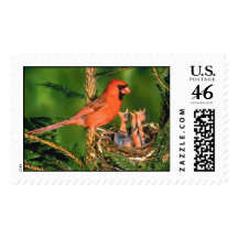 Cardinal  feeding offsping postage
