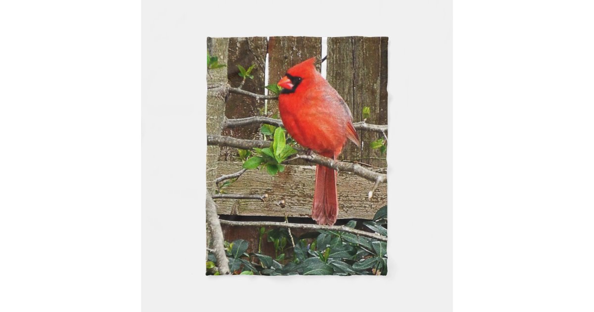 cardinal fleece blanket Zazzle