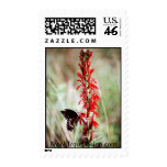 Cardinal Flower and Butterfly Stamp