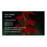 Cardinal flower flowers business card templates