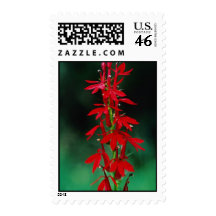 Cardinal flower flowers postage stamps