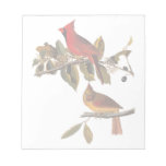 Cardinal Grosbeak Bird Pair Audubon Vintage Art Note Pad